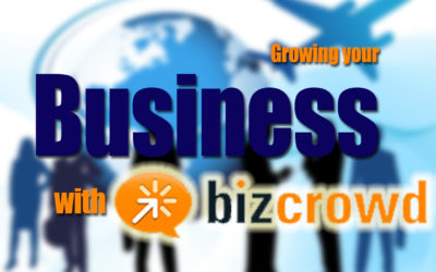 Growing your business with Bizcrowd